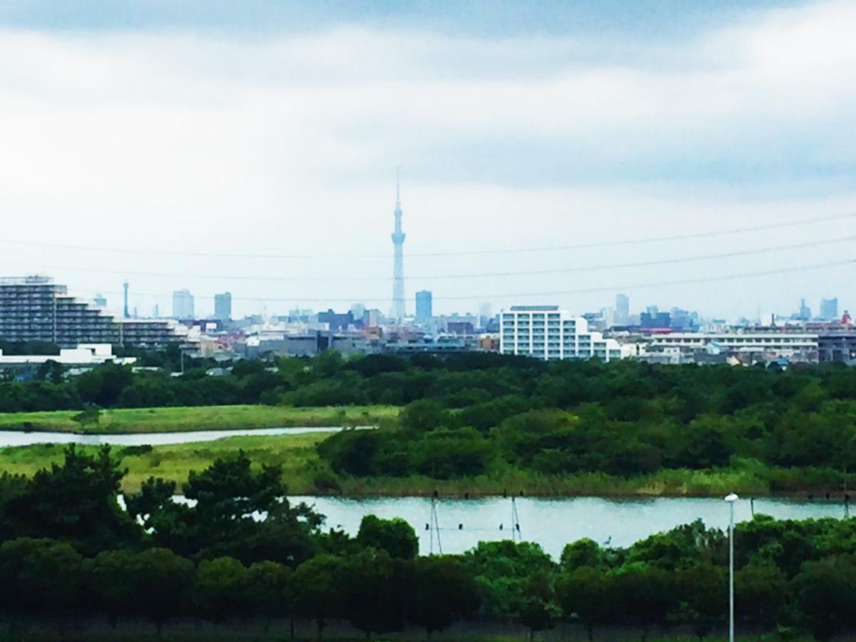 Nice Inn Hotel Ichikawa Tokyo Bay Urayasu Bagian luar foto